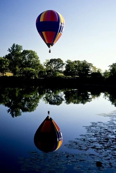 New Jersey, Oldwick, hot-air balloon aloft at sunrise over pond with water lillies