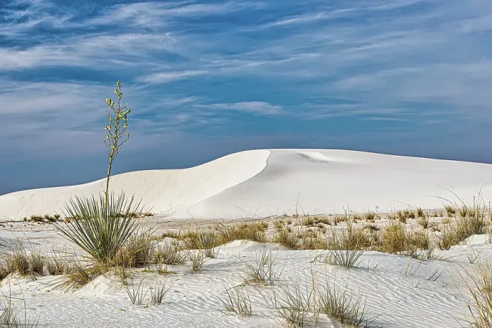 Framed Print : New Mexico's White Sands National Park Framed Print : New Mexico's White Sands National Park