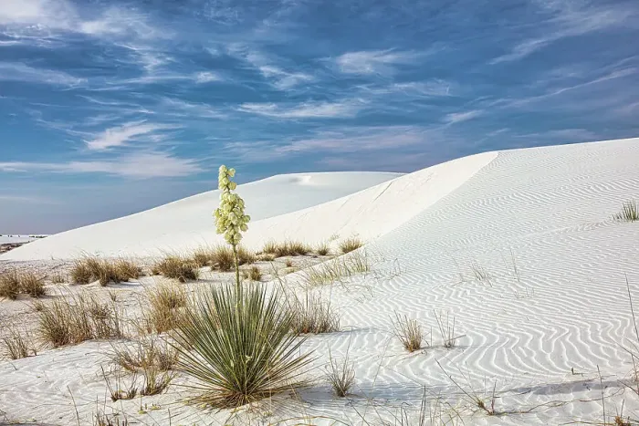 Framed Print : New Mexico's White Sands National Park Framed Print : New Mexico's White Sands National Park