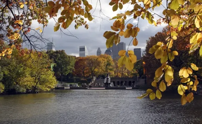 Framed Print : In New York City. Central Park Framed Print : In New York City. Central Park