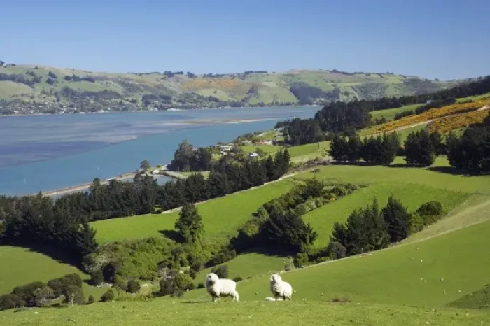 Framed Print : New Zealand
