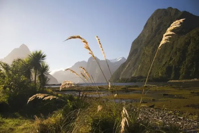 Framed Print : New Zealand Framed Print : New Zealand
