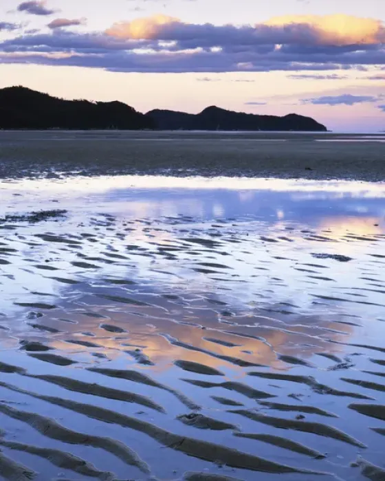 Framed Print : New Zealand, Abel Tasman National Park, Coast