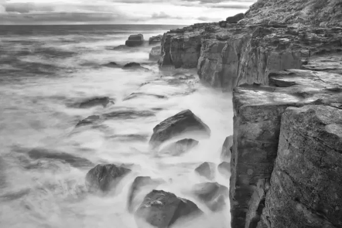 Framed Print : New Zealand Asia Catlins National Forest Curio Bay Framed Print : New Zealand Asia Catlins National Forest Curio Bay