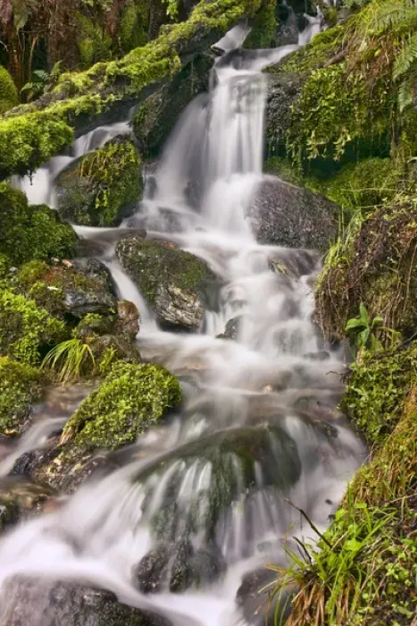 Framed Print : New Zealand Asia Glenorchy Small Falls Framed Print : New Zealand Asia Glenorchy Small Falls