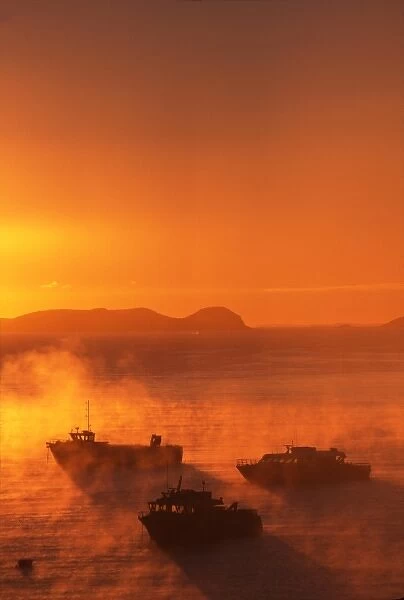 New Zealand, Misty Sunrise and Fishing Boats, Halfmoon Bay, Stewart Island  /  Rakiura