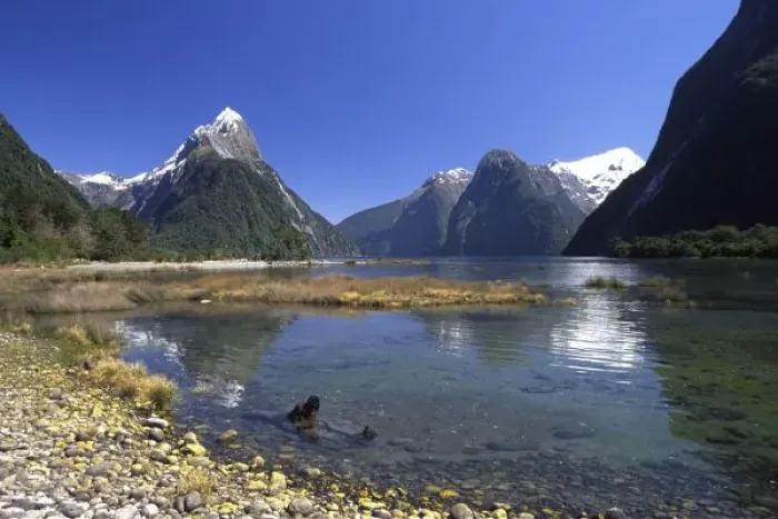 Framed Print : New Zealand, Mitre Peak & Milford Sound, Fiordland National Park, Fiordland