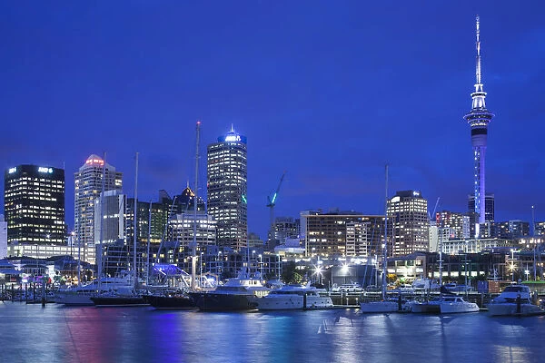 New Zealand, North Island, Auckland, Viaduct Harbour, dusk
