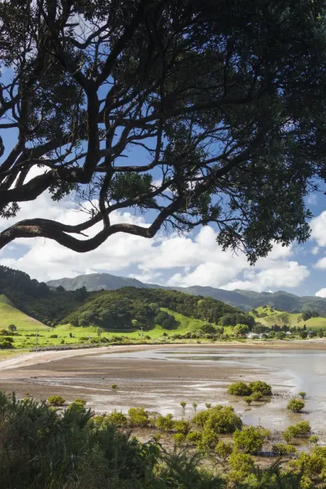 Framed Print : New Zealand, North Island, Coromandel Peninsula, Coromandel Town, Colville, waterfront Framed Print : New Zealand, North Island, Coromandel Peninsula, Coromandel Town, Colville, waterfront