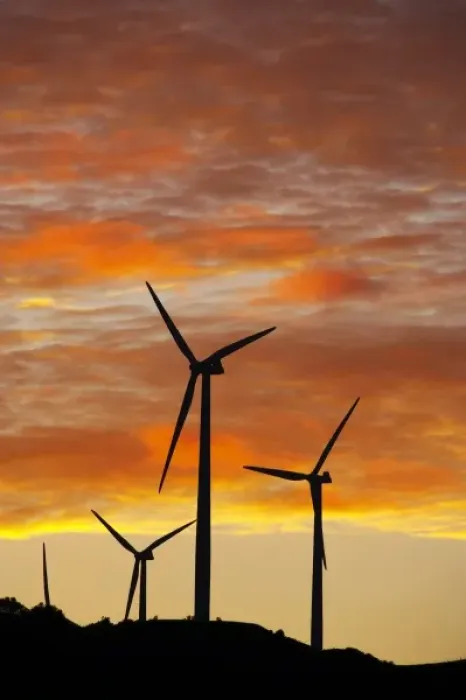 Framed Print : New Zealand, North Island, Manawatu, Sunrise, Te Apiti Wind Farm, Ruahine Ranges Framed Print : New Zealand, North Island, Manawatu, Sunrise, Te Apiti Wind Farm, Ruahine Ranges
