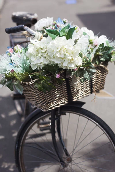 New Zealand, North Island, Martinborough, bicycle with flowers