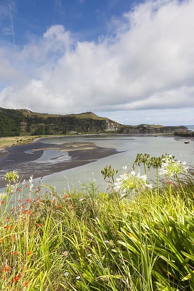 New Zealand, North Island, Mokau, Mokau harbor landscape