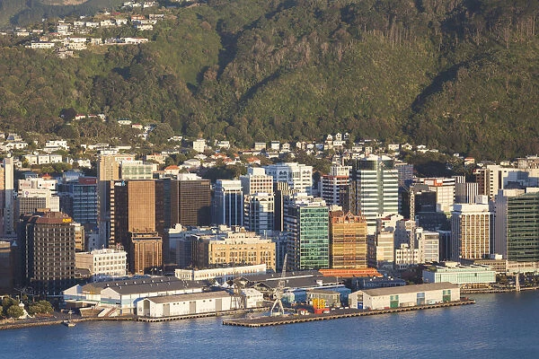 New Zealand, North Island, Wellington, elevated city skyline from Mt. Victoria, dawn