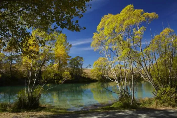 Framed Print : New Zealand, South Island, Canterbury, Mackenzie Country, Ohau River in autumn