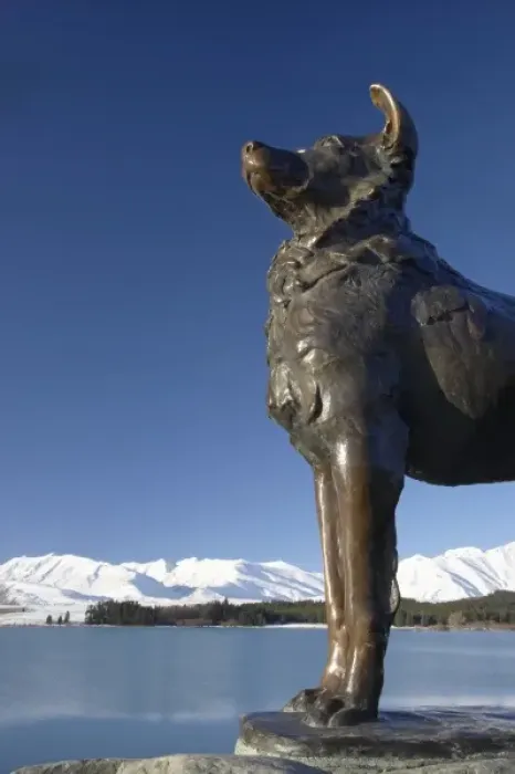 Framed Print : New Zealand, South Island, Canterbury, Mackenzie Country, Sheep Dog Statue, Lake Tekapo