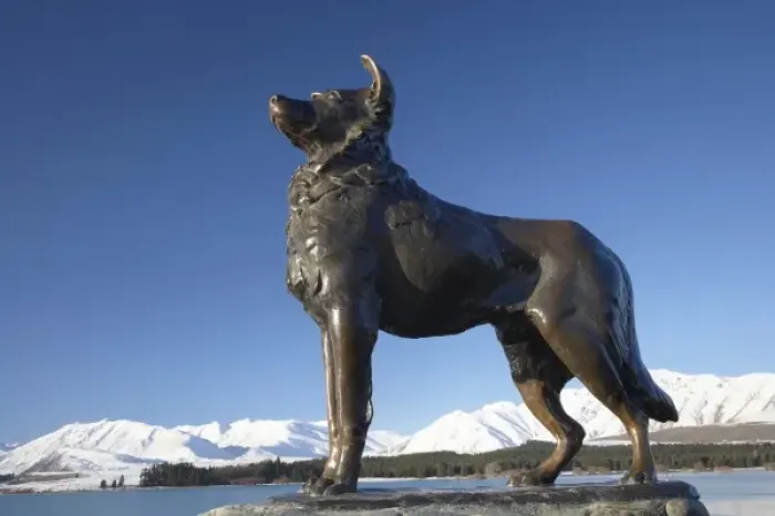 Framed Print : New Zealand, South Island, Canterbury, Mackenzie Country, Sheep Dog Statue, Lake Tekapo Framed Print : New Zealand, South Island, Canterbury, Mackenzie Country, Sheep Dog Statue, Lake Tekapo