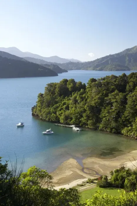 Framed Print : New Zealand, South Island, Marlborough Sounds, Whenuanui  /  Becks Bay, Grove Arm