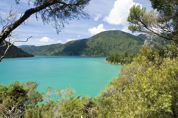 New Zealand, South Island, Marlborough Sounds. View of Nydia Bay from Nydia Track
