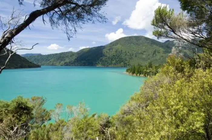 Framed Print : New Zealand, South Island, Marlborough Sounds. View of Nydia Bay from Nydia Track Framed Print : New Zealand, South Island, Marlborough Sounds. View of Nydia Bay from Nydia Track