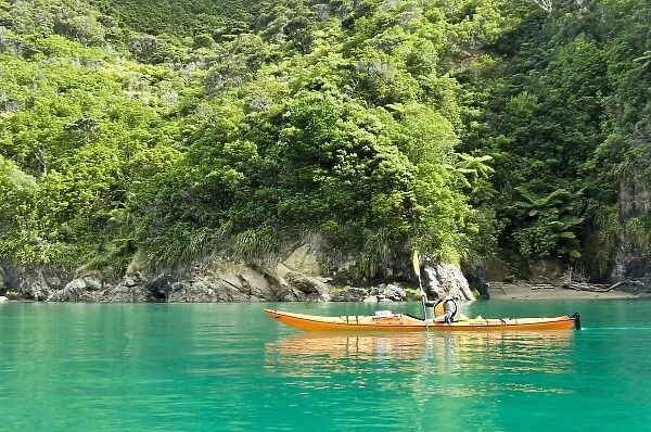 New Zealand, South Island, Marlborough Sounds. Jen Ebel sea kayaking. (MR)