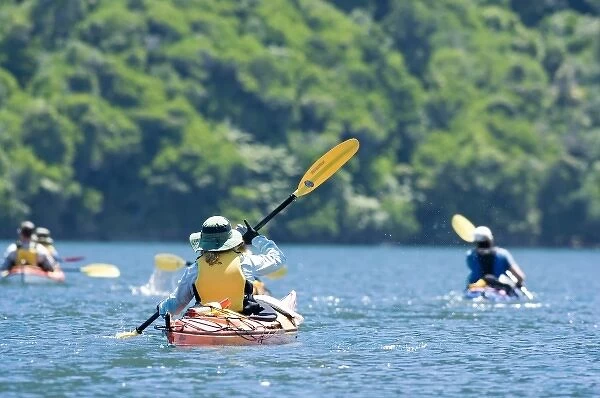 New Zealand, South Island, Marlborough Sounds. Sally Brassill sea kayaking. (MR)