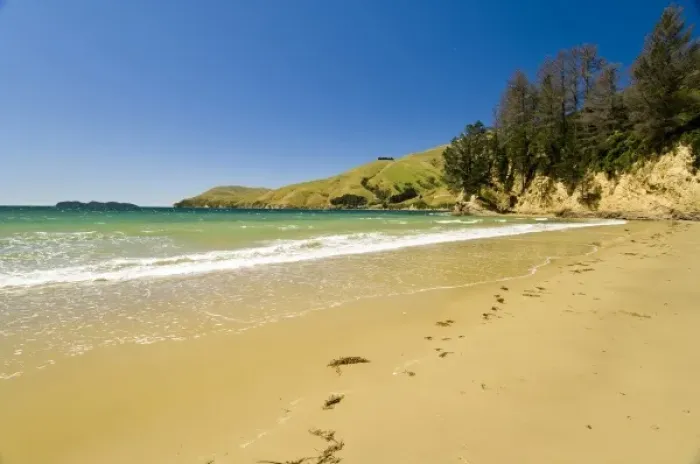Framed Print : New Zealand, South Island, Marlborough Sounds. Beach at Titirangi Bay Framed Print : New Zealand, South Island, Marlborough Sounds. Beach at Titirangi Bay