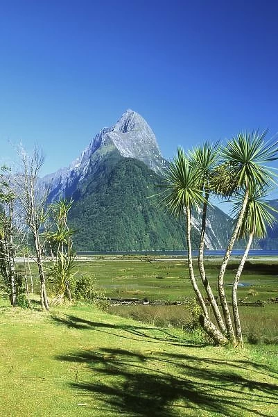 New Zealand, South Island, Mitre Peak, Fiordland NP