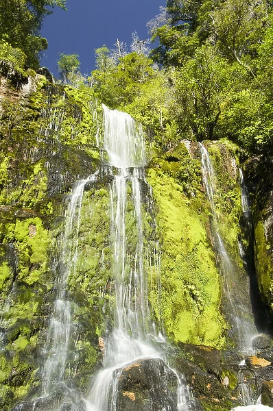 New Zealand, South Island, Ngakawau. Mangatini Falls along Charming Creek Walkway