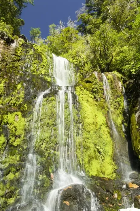 Framed Print : New Zealand, South Island, Ngakawau. Mangatini Falls along Charming Creek Walkway Framed Print : New Zealand, South Island, Ngakawau. Mangatini Falls along Charming Creek Walkway