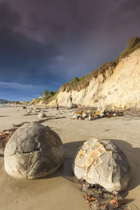Framed Print : New Zealand, South Island, Otago, Moeraki, Moeraki Boulders also known as Te Kaihinaki Framed Print : New Zealand, South Island, Otago, Moeraki, Moeraki Boulders also known as Te Kaihinaki