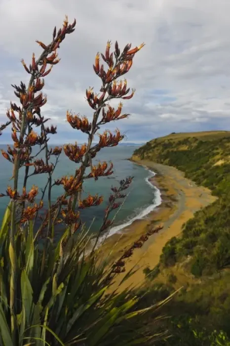 Framed Print : New Zealand, South Island, Otago, Omaru, Bushy Beach Scenic Preserve. View of Bushy Beach