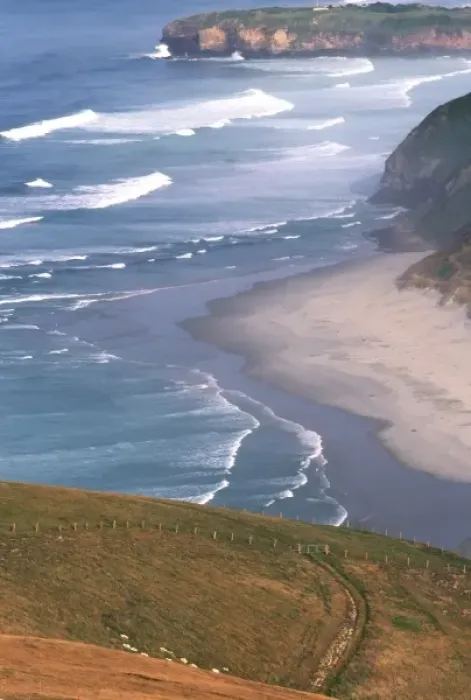 Framed Print : New Zealand, South Island, Otago Coast