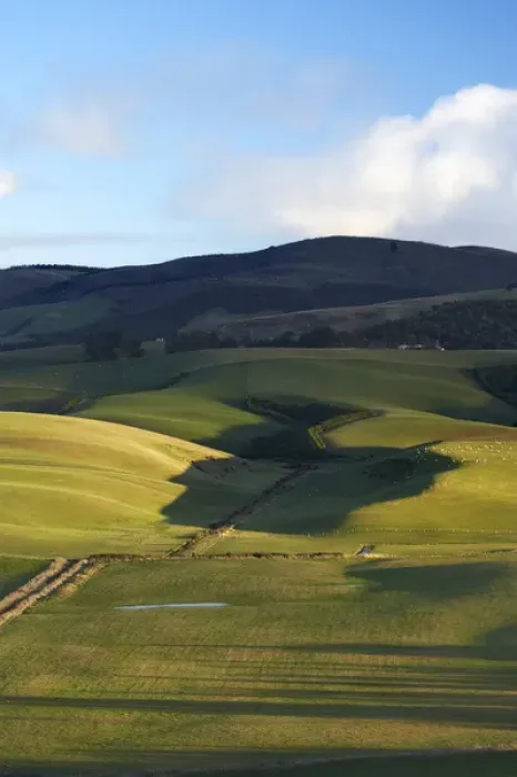 Framed Print : New Zealand, South Island, South Otago, Late Light on Rolling Farmland near Balclutha Framed Print : New Zealand, South Island, South Otago, Late Light on Rolling Farmland near Balclutha