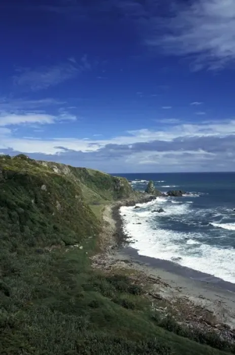 Framed Print : New Zealand, South Island, Westport. Cape Foulwind and coastline