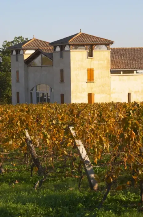 Framed Print : The newly constructed winery building seen over the green yellow golden vineyard