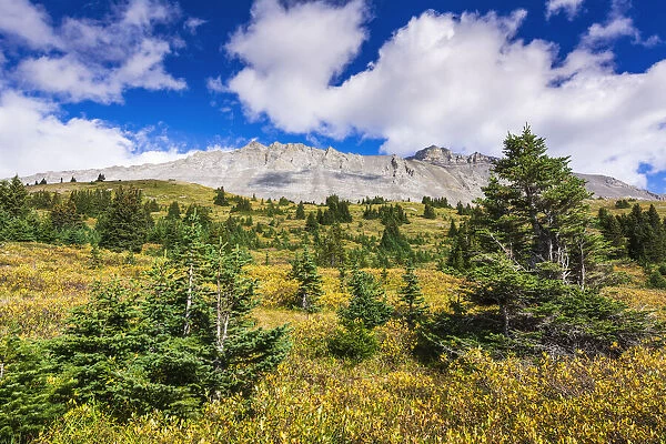 Nigel Peak from Wilcox Ridge, Columbia Icefields, Jasper National Park, Alberta, Canada