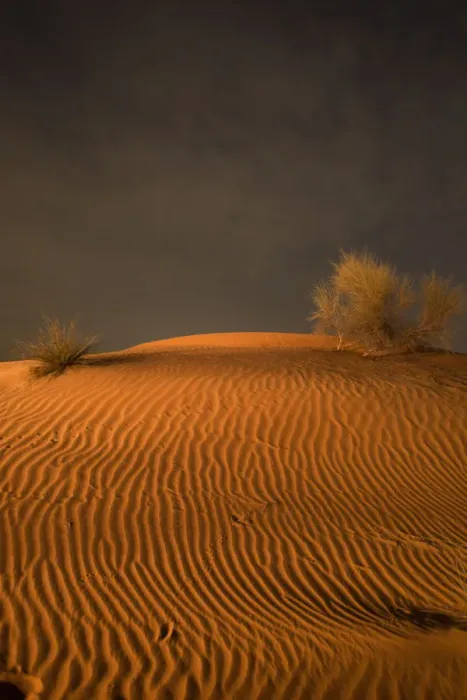 Framed Print : Night in the desert. Abu Dhabi, UAE