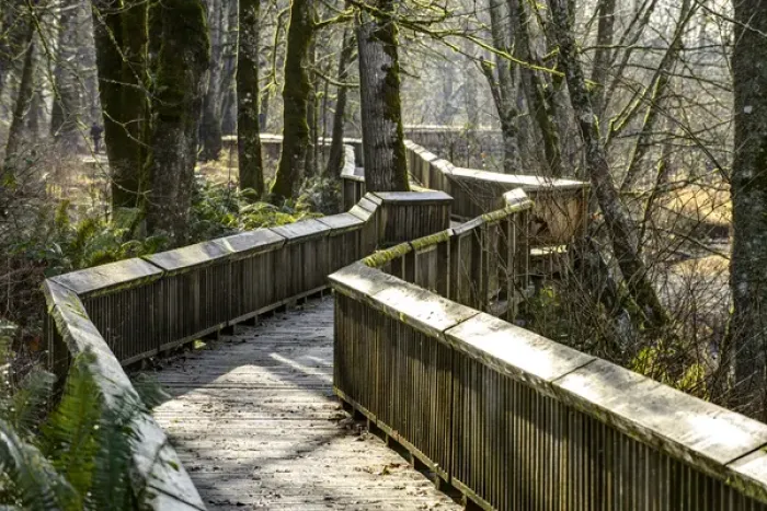 Framed Print : Nisqually National Wildlife Refue, WA. Wooden boardwalk Framed Print : Nisqually National Wildlife Refue, WA. Wooden boardwalk