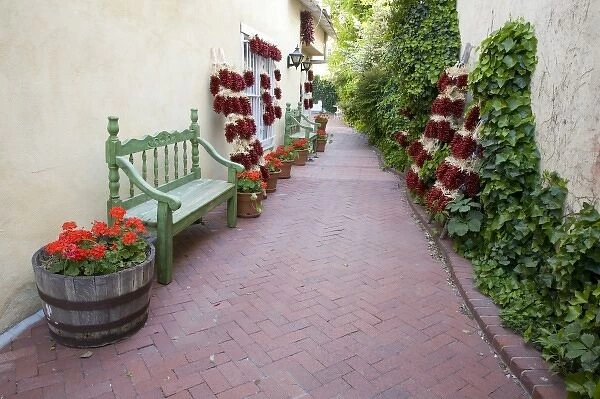 NM, New Mexico, Albuquerque, Historic Old Town, colorful walkway