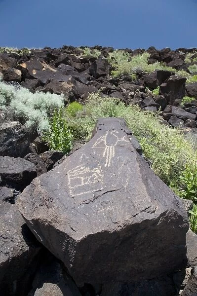 NM, New Mexico, Albuquerque, Petroglyph National Monument, Boca Negra Canyon, petroglyphs