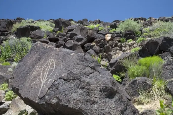 Framed Print : NM, New Mexico, Albuquerque, Petroglyph National Monument, Boca Negra Canyon, petroglyphs