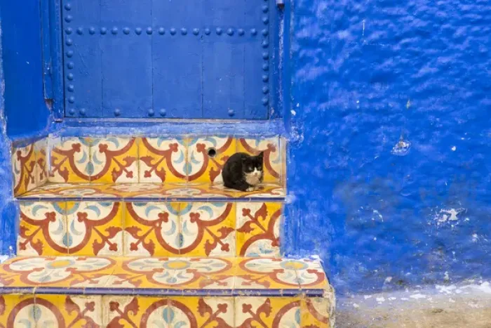 Framed Print : North Africa, Morocco, Chefchaouen or Chaouen is most noted for its small narrow streets