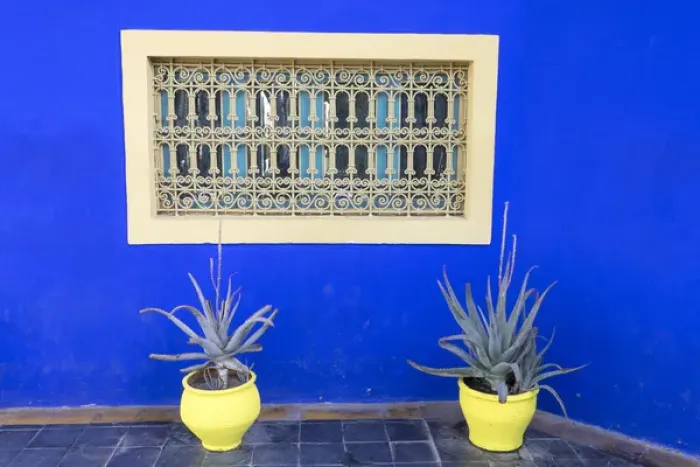 Framed Print : North Africa, Morocco, Marrakech, Jacques Majorelle Botanical Gardens. 12 acres, designed in the 1920s Framed Print : North Africa, Morocco, Marrakech, Jacques Majorelle Botanical Gardens. 12 acres, designed in the 1920s
