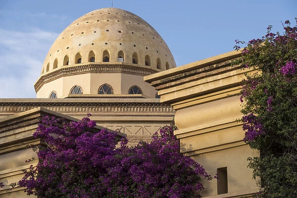 North Africa, Morocco, Marrakech, Royal Opera House. Bougainvillea glabra in purple