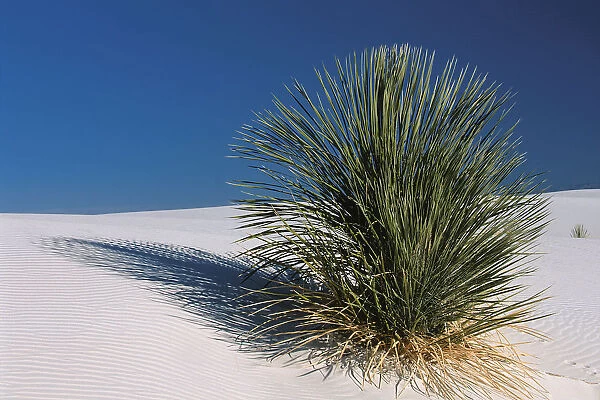 07. North America, America, New Mexico, White Sands