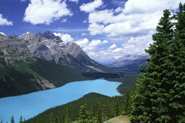 Framed Print : North America, Canada, Alberta, Jasper National Park, Peyto Lake