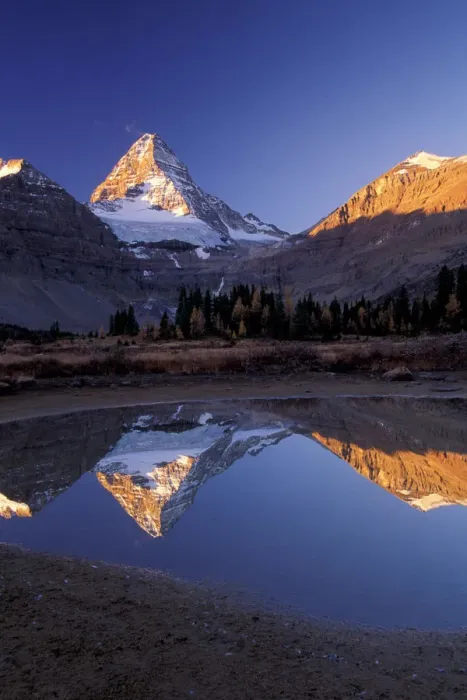 Framed Print : North America, Canada, Assiniboine Prov. Park, Mt. Assiniboine reflection Framed Print : North America, Canada, Assiniboine Prov. Park, Mt. Assiniboine reflection