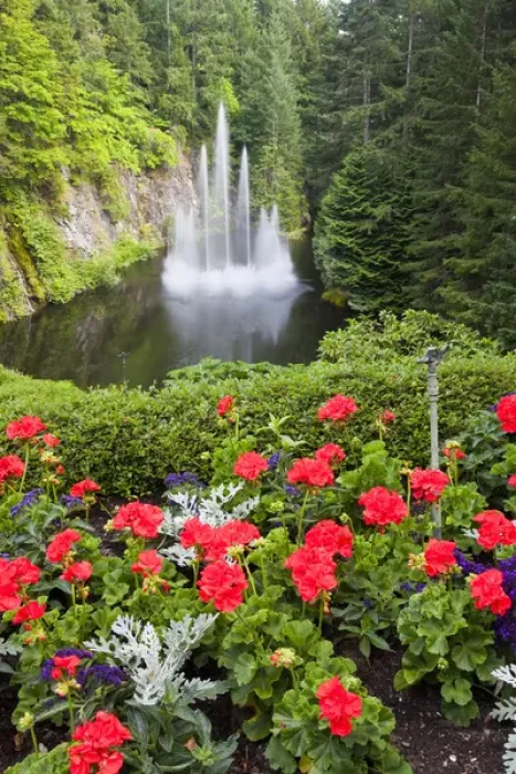 Framed Print : North America; Canada; BC; Victoria; Butchard Gardens In Full Bloom Framed Print : North America; Canada; BC; Victoria; Butchard Gardens In Full Bloom