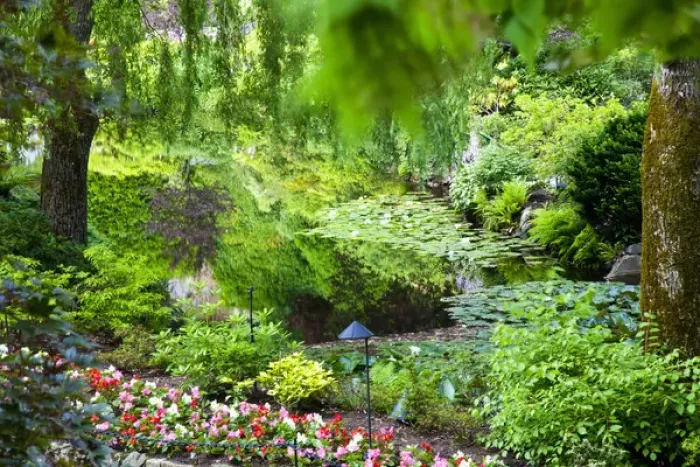 Framed Print : North America; Canada; BC; Victoria; Butchard Gardens In Full Bloom