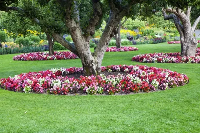 Framed Print : North America; Canada; BC; Victoria; Butchard Gardens In Full Bloom